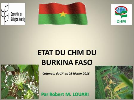 ETAT DU CHM DU BURKINA FASO Cotonou, du 1 er au 03 février 2016 Par Robert M. LOUARI.