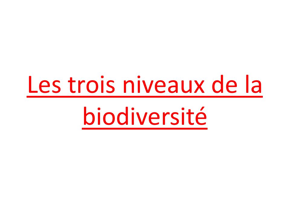 Les Niveaux De La Biodiversit Pdf