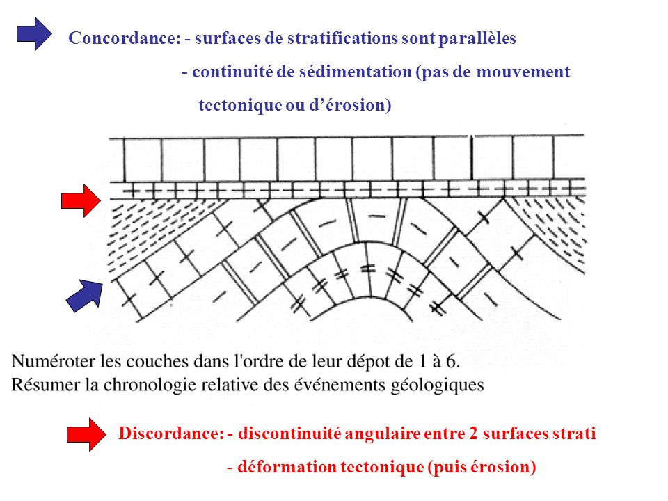 Datation Relative Exercice