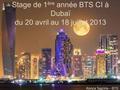 Stage de 1 ère année BTS CI à Dubaï du 20 avril au 18 juillet 2013 Kenza Tagziria – BTS CI 2.