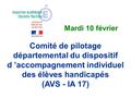 Comité de pilotage départemental du dispositif d ’accompagnement individuel des élèves handicapés (AVS - IA 17) Mardi 10 février.