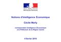 Université d’Orléans19 février 2009Diapositive N°1 Notions d’Intelligence Économique Cécile Marly correspondant Intelligence Économique à la Préfecture.