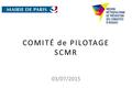 COMITÉ de PILOTAGE SCMR 03/07/2015. SCMR inscrite dans un dispositif global de RdR.