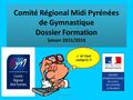 Comité Régional Midi Pyrénées de Gymnastique Dossier Formation Saison 2015/2016 RM CTS GYMNASTIQUE J ’ai tout compris !!