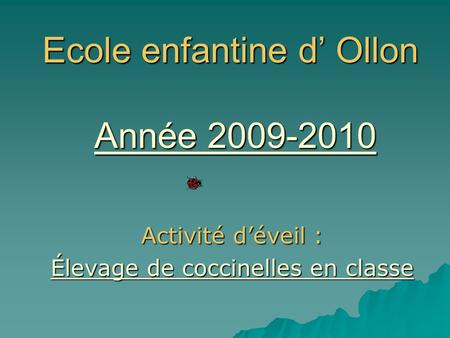 Ecole enfantine d’ Ollon Année 2009-2010 Activité d’éveil : Élevage de coccinelles en classe.
