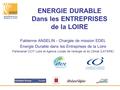 ENERGIE DURABLE Dans les ENTREPRISES de la LOIRE Fabienne ANSELIN - Chargée de mission EDEL Energie Durable dans les Entreprises de la Loire Partenariat.