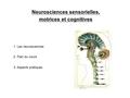 Neurosciences sensorielles, motrices et cognitives 2. Plan du cours 1. Les neurosciences 3. Aspects pratiques.