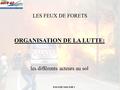 LES FEUX DE FORETS ORGANISATION DE LA LUTTE: les différents acteurs au sol FOS FDF 2009-FDF 1.