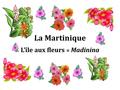 La Martinique L’île aux fleurs = Madinina. La Martinique se trouve dans la mer des Caraïbes. C’est un département d’outre-mer de la France.