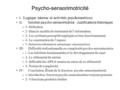Psycho-sensorimotricité I- Logique interne et activités psychomotrices II- fonction psycho-sensorimotrice : Justifications théoriques – 1- Définition –