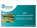 ONDE Observatoire National Des Etiages Point d'information sur les outils ONDE : application ‘producteurs’, site de diffusion Réunion DCIE-DIR du 03/06/15.