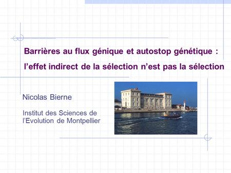 Barrières au flux génique et autostop génétique : l’effet indirect de la sélection n’est pas la sélection Nicolas Bierne Institut des Sciences de l’Evolution.