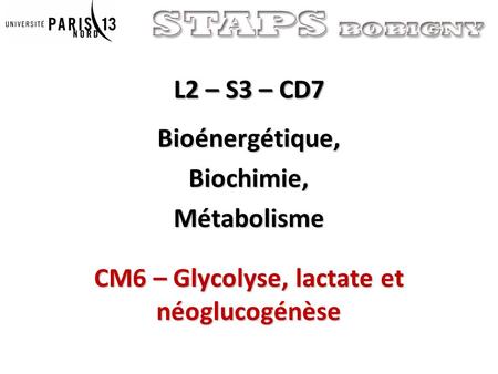 L2 – S3 – CD7 Bioénergétique,Biochimie,Métabolisme CM6 – Glycolyse, lactate et néoglucogénèse.
