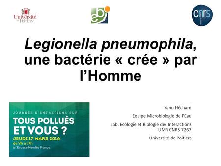 Legionella pneumophila, une bactérie « crée » par l’Homme Yann Héchard Equipe Microbiologie de l’Eau Lab. Ecologie et Biologie des Interactions UMR CNRS.