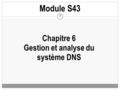 Chapitre 6 Gestion et analyse du système DNS Module S43 1.