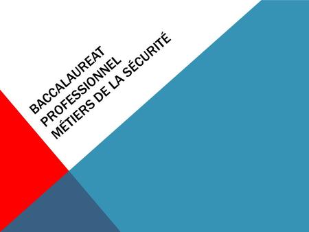 BACCALAUREAT PROFESSIONNEL MÉTIERS DE LA SÉCURITÉ.