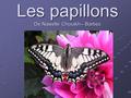 Les papillons De Nawelle Chouikh-- Barbez. Sommaire: La chenille. Le papillon. Leur cycle de vie. Leur nourriture. Anatomie. Leurs écailles. Leurs prédateurs.