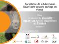 Edouard REVEILLAUD 28/03/2014 Surveillance de la tuberculose bovine dans la faune sauvage en France Mise en œuvre du dispositif SYLVATUB dans le département.