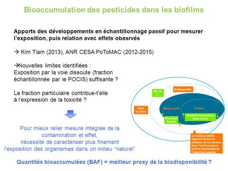 Bioaccumulation des pesticides dans les biofilms Apports des développements en échantillonnage passif pour mesurer l’exposition, puis relation avec effets.