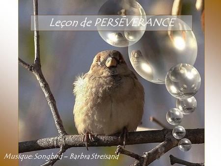 Leçon de PERSÉVERANCE Musique: Songbird – Barbra Streisand.
