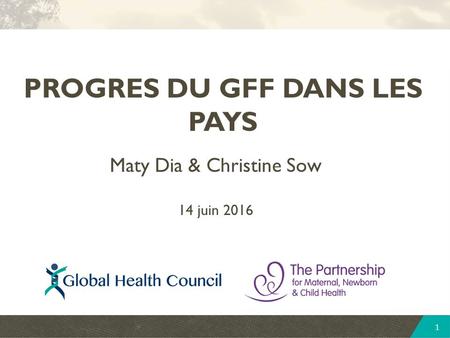 1 PROGRES DU GFF DANS LES PAYS Maty Dia & Christine Sow 14 juin 2016.