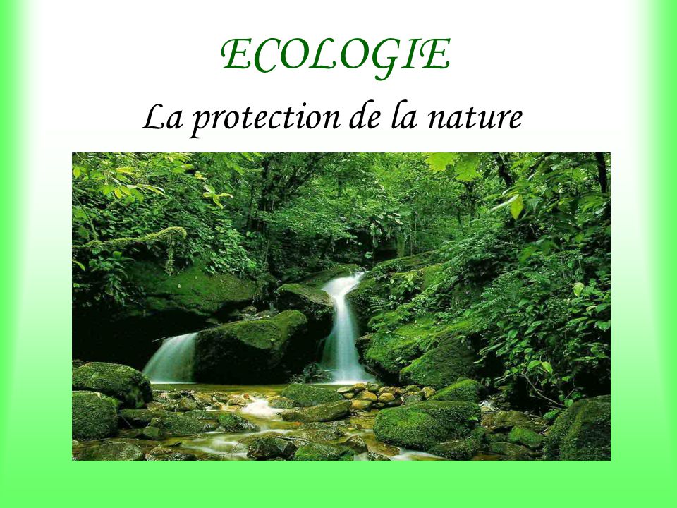 clipart protection de la nature - photo #45