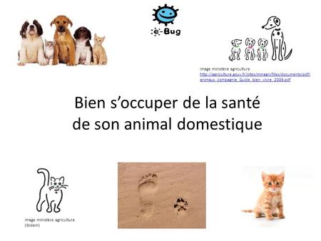Bien s’occuper de la santé de son animal domestique Image ministère agriculture  animaux_compagnie_Guide_bien_vivre_2009.pdf.