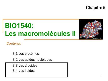 BIO1540: Les macromolécules II Chapitre 5 Contenu : 3.1 Les protéines