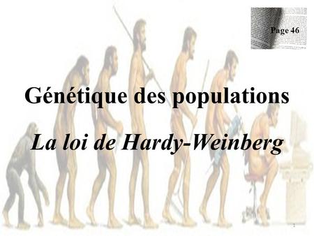Génétique des populations La loi de Hardy-Weinberg