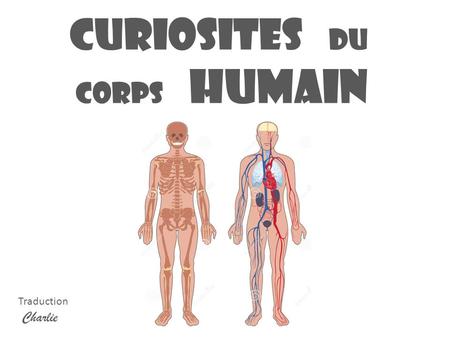 CURIOSITES DU CORPS HUMAIN Charlie Traduction