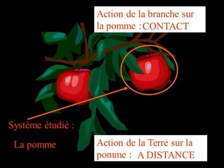 Action de la branche sur la pomme :