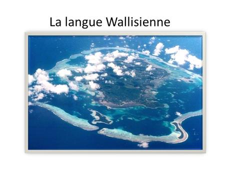 La langue Wallisienne.