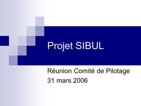 Projet SIBUL Réunion Comité de Pilotage 31 mars 2006.