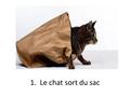 1. Le chat sort du sac.