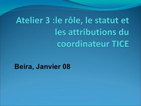 Beira, Janvier 08. Formation Une formation périodique pour accompagner l’évolution des TIC et pour légitimer son rôle au sein de l’institution ; Des échanges.