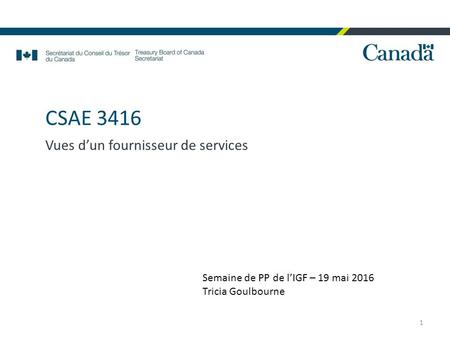CSAE 3416 Vues d’un fournisseur de services 1 Semaine de PP de l’IGF – 19 mai 2016 Tricia Goulbourne.
