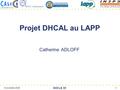 RD51 Collaboration 9 novembre 2009 SOCLE 09 1 Projet DHCAL au LAPP Catherine ADLOFF.