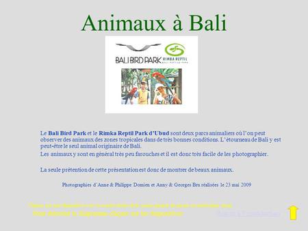 Animaux à Bali Le Bali Bird Park et le Rimka Reptil Park dUbud sont deux parcs animaliers où lon peut observer des animaux des zones tropicales dans de.
