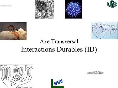 Axe Transversal Interactions Durables (ID)