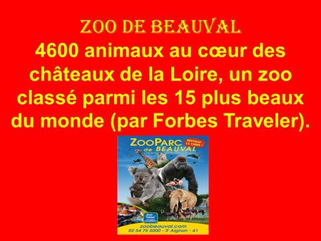 Zoo de beauval 4600 animaux au cœur des châteaux de la Loire, un zoo classé parmi les 15 plus beaux du monde (par Forbes Traveler).