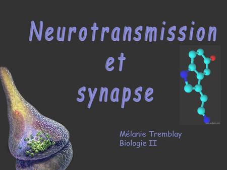 Neurotransmission et synapse Mélanie Tremblay Biologie II.