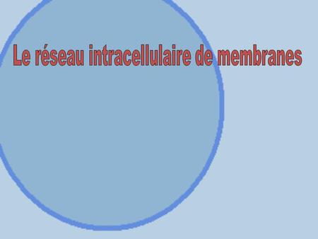 Le réseau intracellulaire de membranes