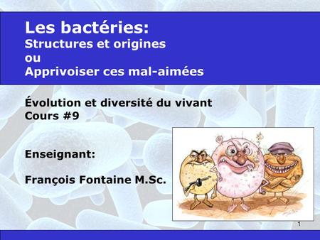 Les bactéries: Structures et origines ou Apprivoiser ces mal-aimées