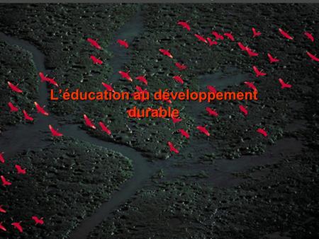 L’éducation au développement durable