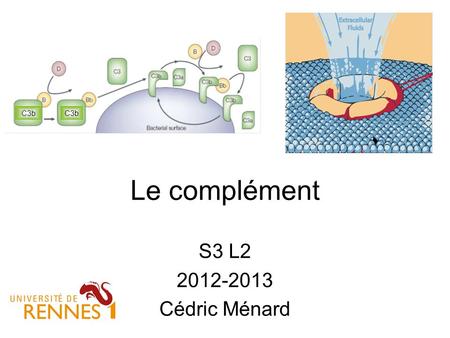 C3b C3b Le complément S3 L2 2012-2013 Cédric Ménard 1.