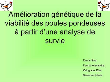 Amélioration génétique de la viabilité des poules pondeuses à partir d’une analyse de survie Faure Nina Fauriat Alexandre Kalogreas Elsa Benevent Marie.