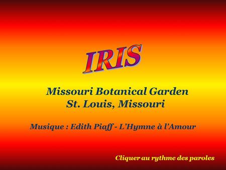 M issouri Botanical Garden St. Louis, Missouri Musique : Edith Piaff - LHymne à lAmour Cliquer au rythme des paroles.