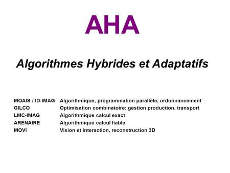 AHA Algorithmes Hybrides et Adaptatifs