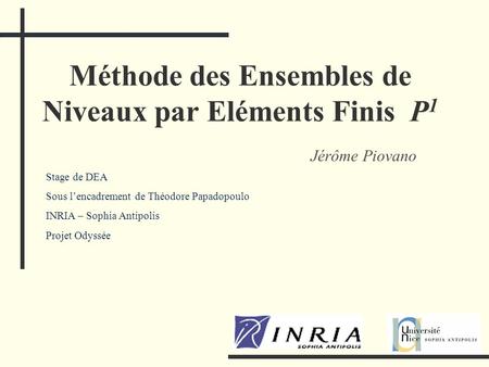 Méthode des Ensembles de Niveaux par Eléments Finis P1