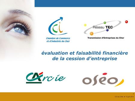 1 CCI du Cher, le 13 juin 2012 évaluation et faisabilité financière de la cession dentreprise 1 CCI du Cher, le 13 juin 2012.